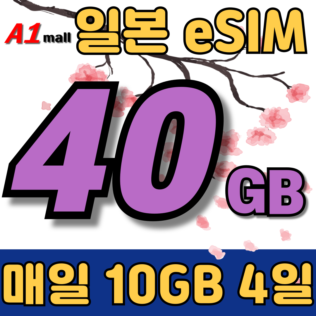 SK 일본 일본 매일 40GB 1일 요금제